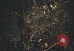 Image of United States pilot Vietnam, 1967, second 40 stock footage video 65675075573