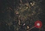 Image of United States pilot Vietnam, 1967, second 41 stock footage video 65675075573