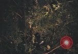 Image of United States pilot Vietnam, 1967, second 42 stock footage video 65675075573