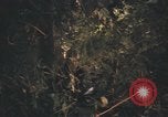 Image of United States pilot Vietnam, 1967, second 43 stock footage video 65675075573