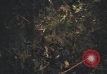 Image of United States pilot Vietnam, 1967, second 44 stock footage video 65675075573