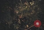 Image of United States pilot Vietnam, 1967, second 45 stock footage video 65675075573