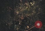 Image of United States pilot Vietnam, 1967, second 46 stock footage video 65675075573