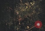 Image of United States pilot Vietnam, 1967, second 47 stock footage video 65675075573