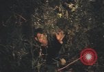 Image of United States pilot Vietnam, 1967, second 53 stock footage video 65675075573