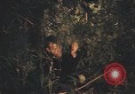 Image of United States pilot Vietnam, 1967, second 55 stock footage video 65675075573