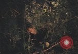 Image of United States pilot Vietnam, 1967, second 56 stock footage video 65675075573