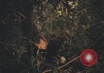 Image of United States pilot Vietnam, 1967, second 57 stock footage video 65675075573