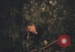 Image of United States pilot Vietnam, 1967, second 58 stock footage video 65675075573