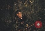 Image of United States pilot Vietnam, 1967, second 59 stock footage video 65675075573