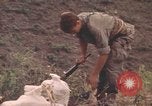 Image of United States soldiers Vietnam, 1972, second 46 stock footage video 65675075584