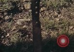 Standbild USA Soldaten Vietnam, 1972, aus Sekunde 3 historischem Filmmaterial Videoclip 65675075585