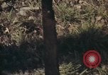 Standbild USA Soldaten Vietnam, 1972, aus Sekunde 4 historischem Filmmaterial Videoclip 65675075585