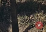 Standbild USA Soldaten Vietnam, 1972, aus Sekunde 5 historischem Filmmaterial Videoclip 65675075585