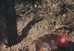Standbild USA Soldaten Vietnam, 1972, aus Sekunde 6 historischem Filmmaterial Videoclip 65675075585