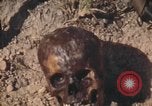 Standbild USA Soldaten Vietnam, 1972, aus Sekunde 7 historischem Filmmaterial Videoclip 65675075585