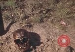 Standbild USA Soldaten Vietnam, 1972, aus Sekunde 16 historischem Filmmaterial Videoclip 65675075585