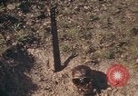 Standbild USA Soldaten Vietnam, 1972, aus Sekunde 23 historischem Filmmaterial Videoclip 65675075585