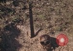 Standbild USA Soldaten Vietnam, 1972, aus Sekunde 24 historischem Filmmaterial Videoclip 65675075585