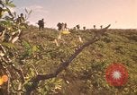 Image soldats des États-Unis Vietnam, 1972, de la seconde 55 séquences d'archives historiques vidéo 65675075587