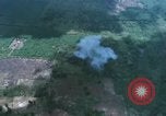 Immagine di O-1 Bird Dog liaison aicraft Bien Hoa Vietnam, 1970, secondo 37 filmato di repertorio 65675075598