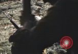 Standbild UH-1F Iroquois Hubschrauber Vietnam, 1968, aus Sekunde 20 historischem Filmmaterial Videoclip 65675075604