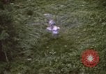 Image of HH-3E Jolly Green Giant helicopters Vietnam, 1968, second 27 stock footage video 65675075607