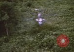 Image of HH-3E Jolly Green Giant helicopters Vietnam, 1968, second 29 stock footage video 65675075607