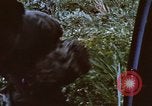 Image of 20th Helicopter Squadron personnel Vietnam, 1968, second 52 stock footage video 65675075608