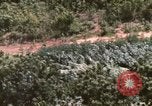 Image of HH-3E helicopters Vietnam, 1962, second 31 stock footage video 65675075614