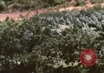 Image of HH-3E helicopters Vietnam, 1962, second 32 stock footage video 65675075614
