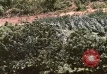 Image of HH-3E helicopters Vietnam, 1962, second 34 stock footage video 65675075614