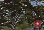 Image of 20th Helicopter Squadron paratroopers Vietnam, 1962, second 10 stock footage video 65675075617