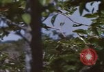 Image of 20th Helicopter Squadron paratroopers Vietnam, 1962, second 13 stock footage video 65675075617