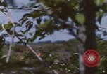 Image of 20th Helicopter Squadron paratroopers Vietnam, 1962, second 14 stock footage video 65675075617