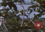 Image of 20th Helicopter Squadron paratroopers Vietnam, 1962, second 15 stock footage video 65675075617