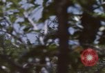 Image of 20th Helicopter Squadron paratroopers Vietnam, 1962, second 19 stock footage video 65675075617