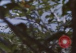 Image of 20th Helicopter Squadron paratroopers Vietnam, 1962, second 20 stock footage video 65675075617