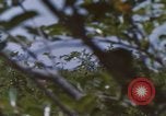 Image of 20th Helicopter Squadron paratroopers Vietnam, 1962, second 21 stock footage video 65675075617