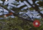 Image of 20th Helicopter Squadron paratroopers Vietnam, 1962, second 22 stock footage video 65675075617