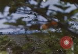 Image of 20th Helicopter Squadron paratroopers Vietnam, 1962, second 23 stock footage video 65675075617