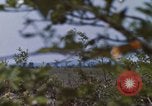 Image of 20th Helicopter Squadron paratroopers Vietnam, 1962, second 26 stock footage video 65675075617
