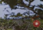 Image of 20th Helicopter Squadron paratroopers Vietnam, 1962, second 27 stock footage video 65675075617