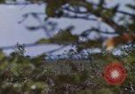 Image of 20th Helicopter Squadron paratroopers Vietnam, 1962, second 29 stock footage video 65675075617