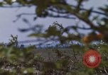 Image of 20th Helicopter Squadron paratroopers Vietnam, 1962, second 30 stock footage video 65675075617