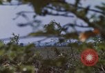 Image of 20th Helicopter Squadron paratroopers Vietnam, 1962, second 31 stock footage video 65675075617