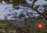 Image of 20th Helicopter Squadron paratroopers Vietnam, 1962, second 32 stock footage video 65675075617