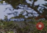 Image of 20th Helicopter Squadron paratroopers Vietnam, 1962, second 33 stock footage video 65675075617