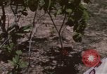 Image of 20th Helicopter Squadron paratroopers Vietnam, 1962, second 55 stock footage video 65675075617