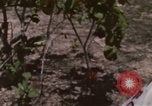 Image of 20th Helicopter Squadron paratroopers Vietnam, 1962, second 56 stock footage video 65675075617